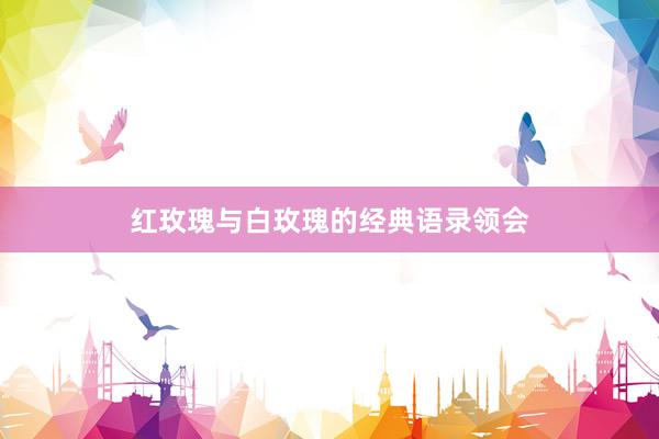 红玫瑰与白玫瑰的经典语录领会