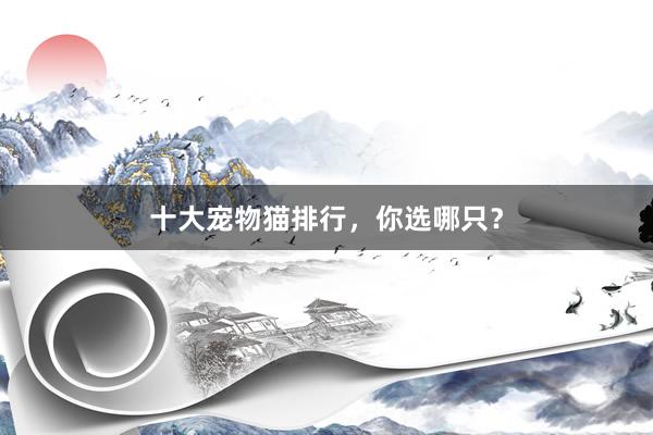 十大宠物猫排行，你选哪只？