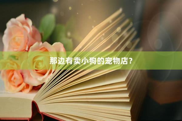 那边有卖小狗的宠物店？