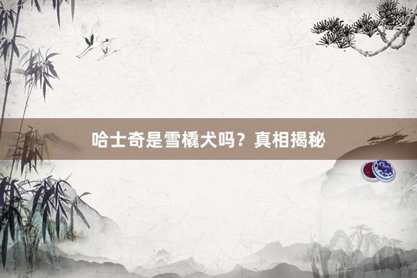 哈士奇是雪橇犬吗？真相揭秘